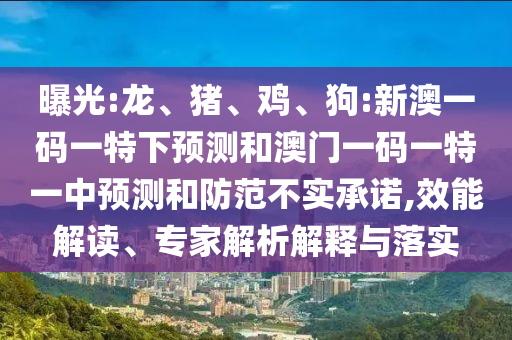 曝光:龍、豬、雞、狗:新澳一碼一特下預測和澳門一碼一特一中預測和防范不實承諾,效能解讀、專家解析解釋與落實